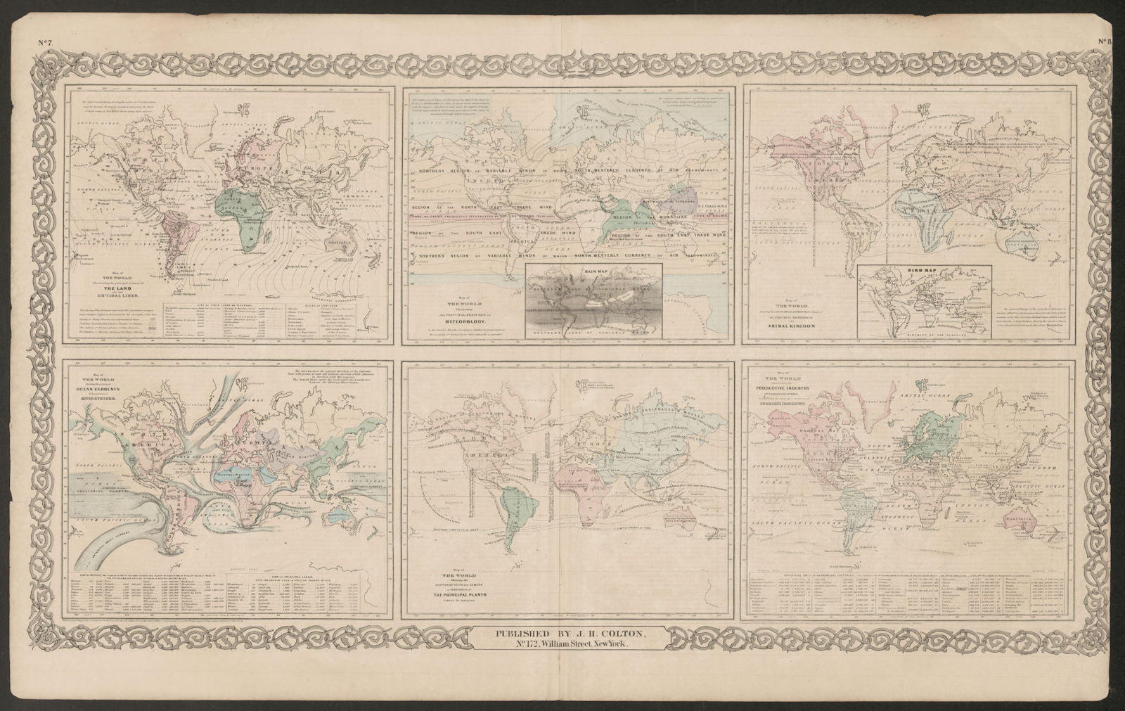World. Cotidal Ocean lines currents Meteorology plants animals COLTON 1863 map
